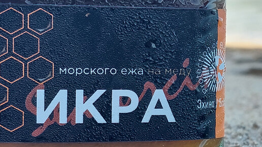 Вытяжка из морских ежей. Икра морских ежей настойка. Еж на меду. Экстракт икры морского ежа для мужчин. Экстракт из морского ежа.