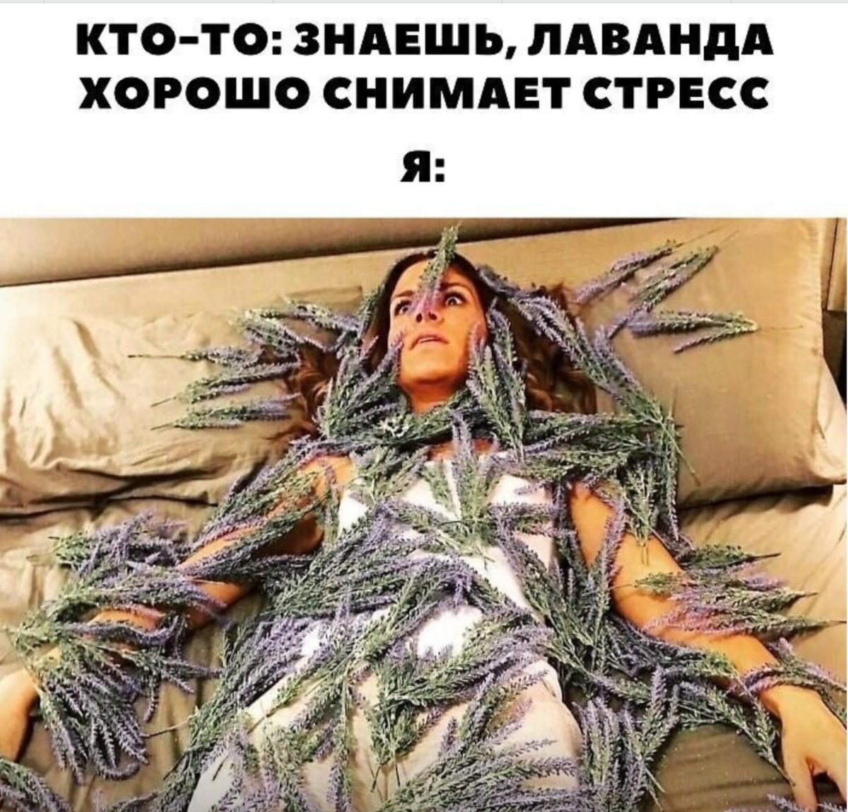 Примерно вот так я выглядела в июне. Источник: bipbap.ru