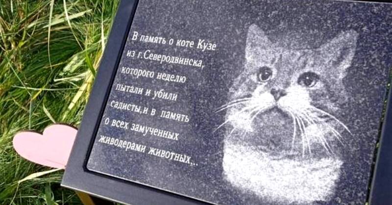 В память о коте Кузе в Петербурге жители установили мемориальную доску.