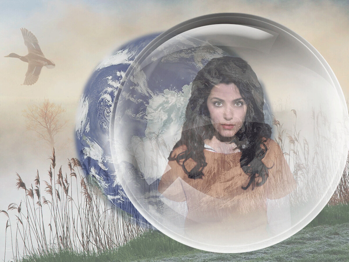 Коллаж из фото с открытых ресурсов интернета.