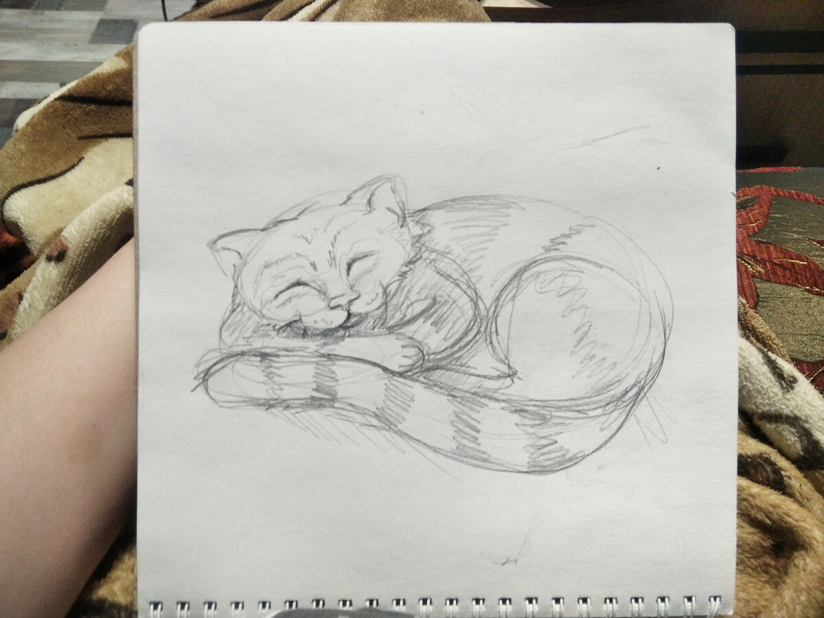 Плед, кстати, импонирует котику)