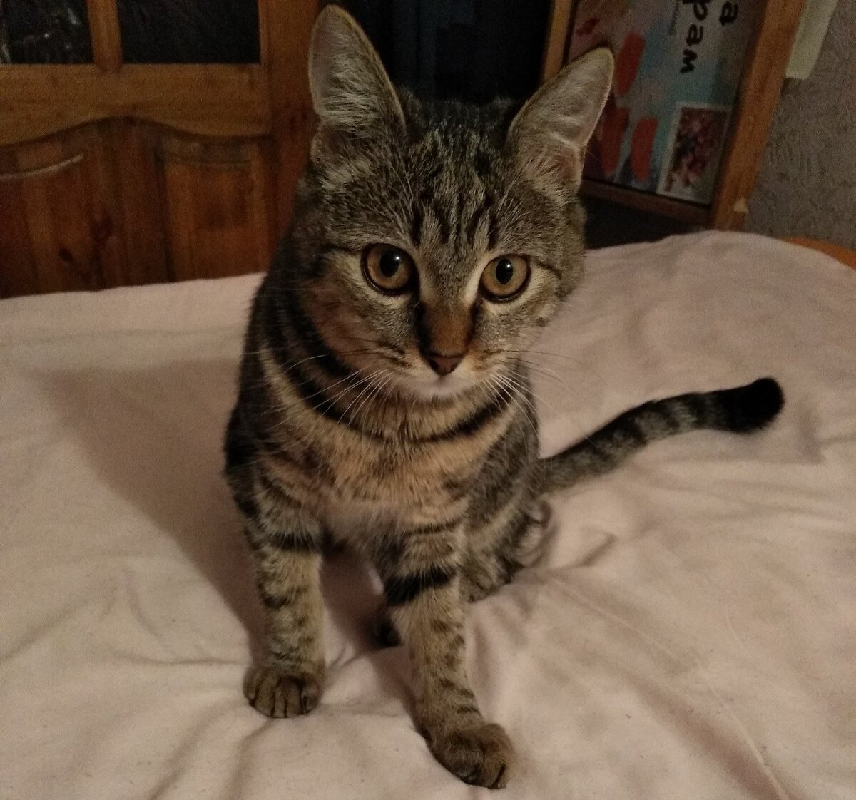 Джозефина. Здесь ей где-то годик