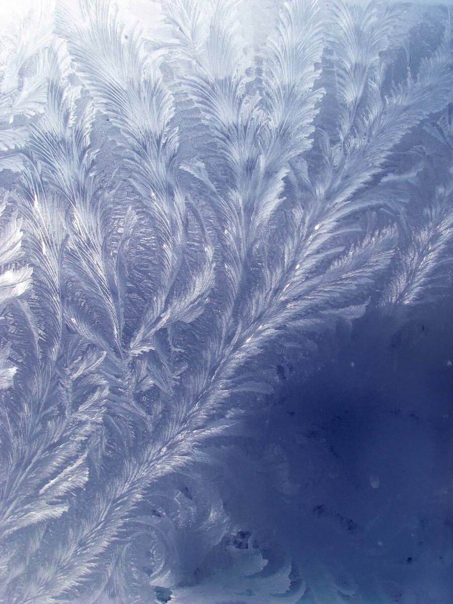 Фото из общедоступной сети Интернет