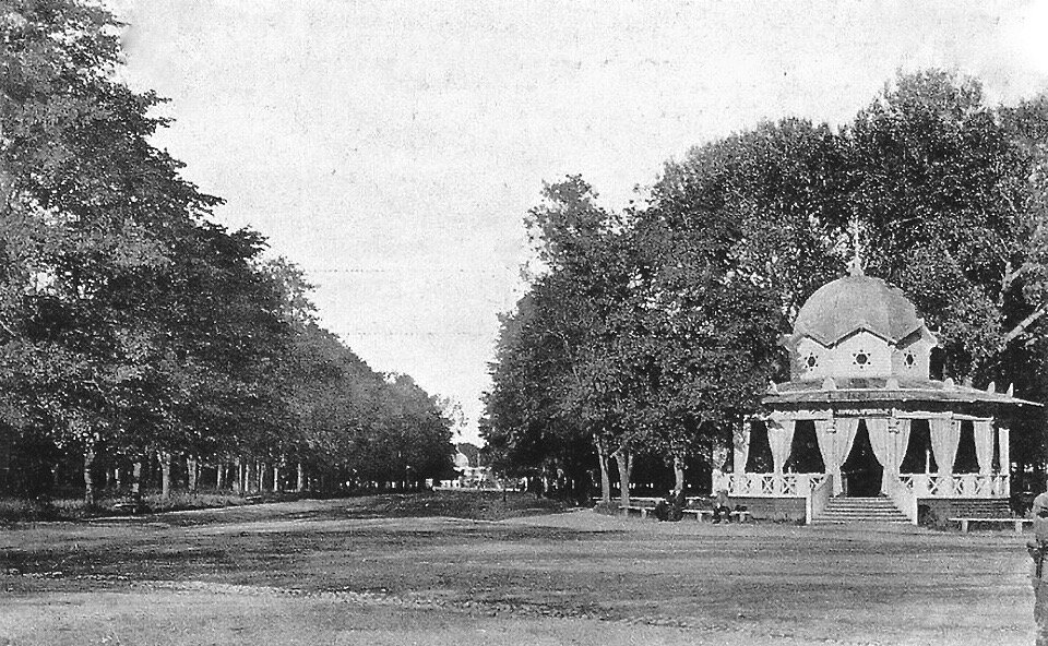 Петровский парк фото 1911 год.