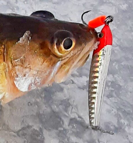 Блесенка пластиковая, объемная, с интересной "сыпучей" игрой, хорошо уходит в сторону