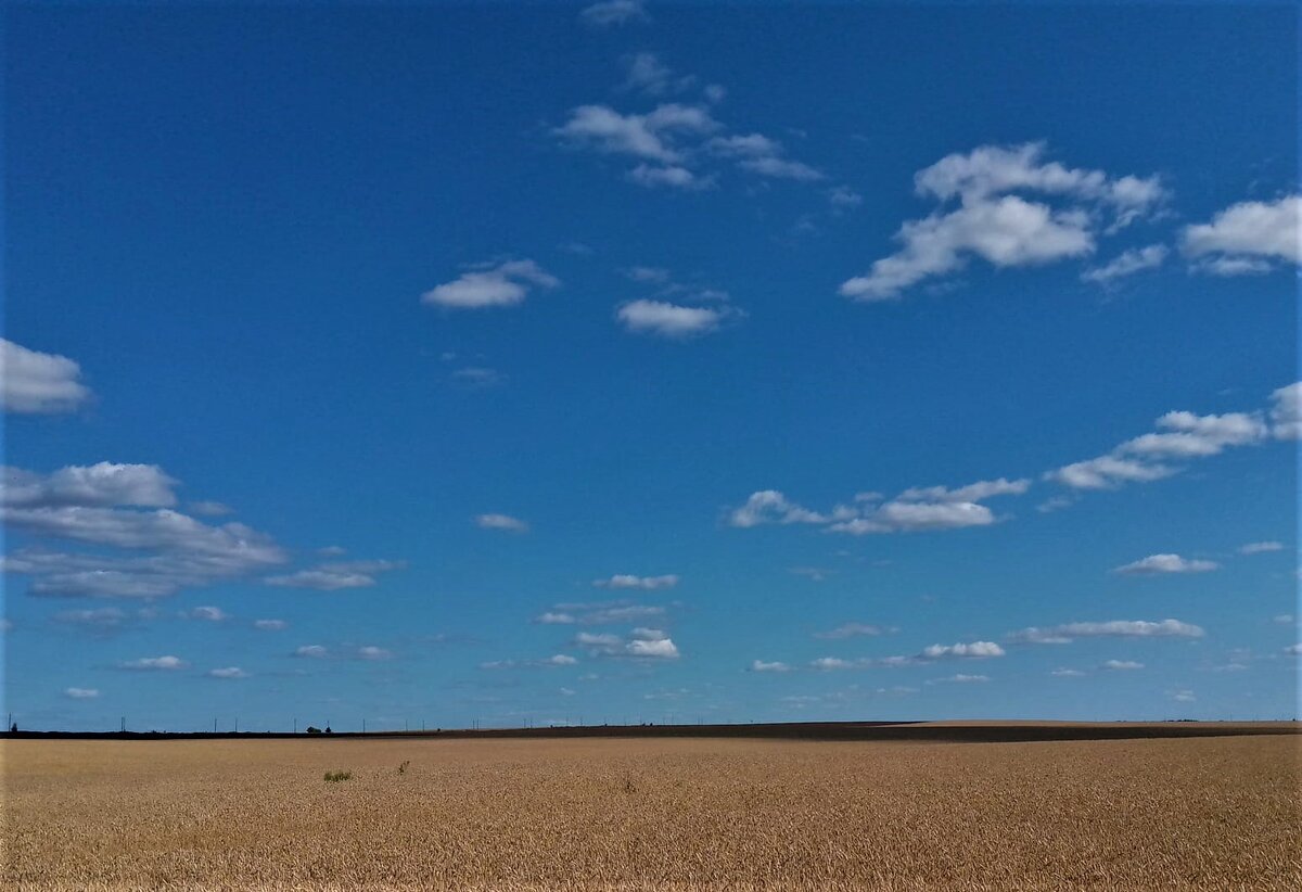 Осень. Фото автора канала.