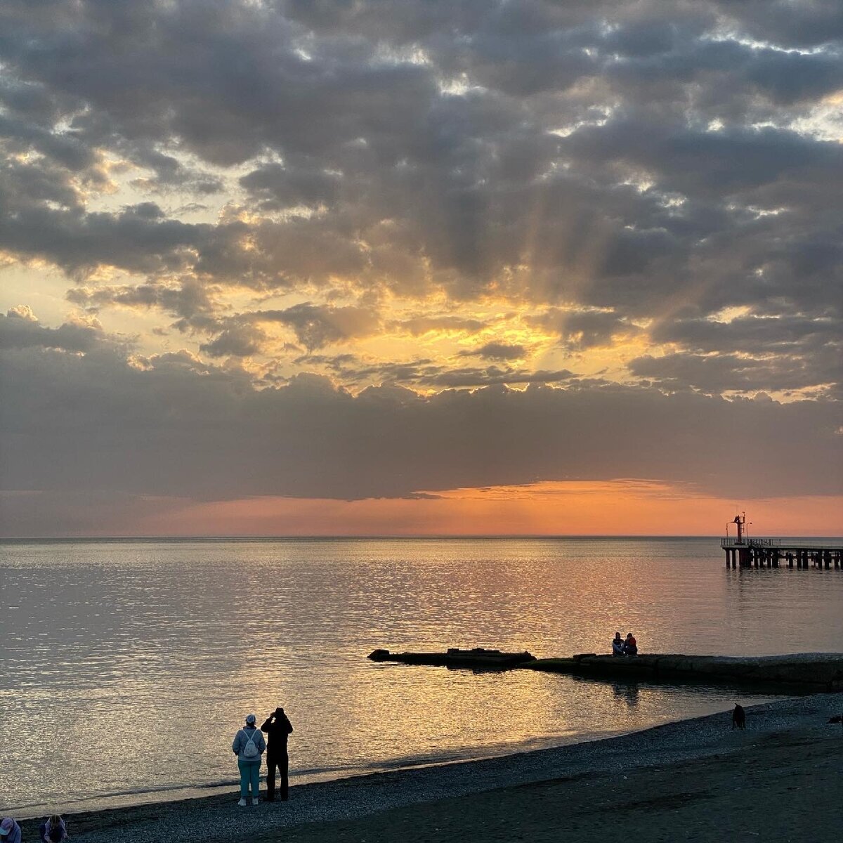 Добавьте описание