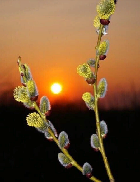 Фото из доступного источника.