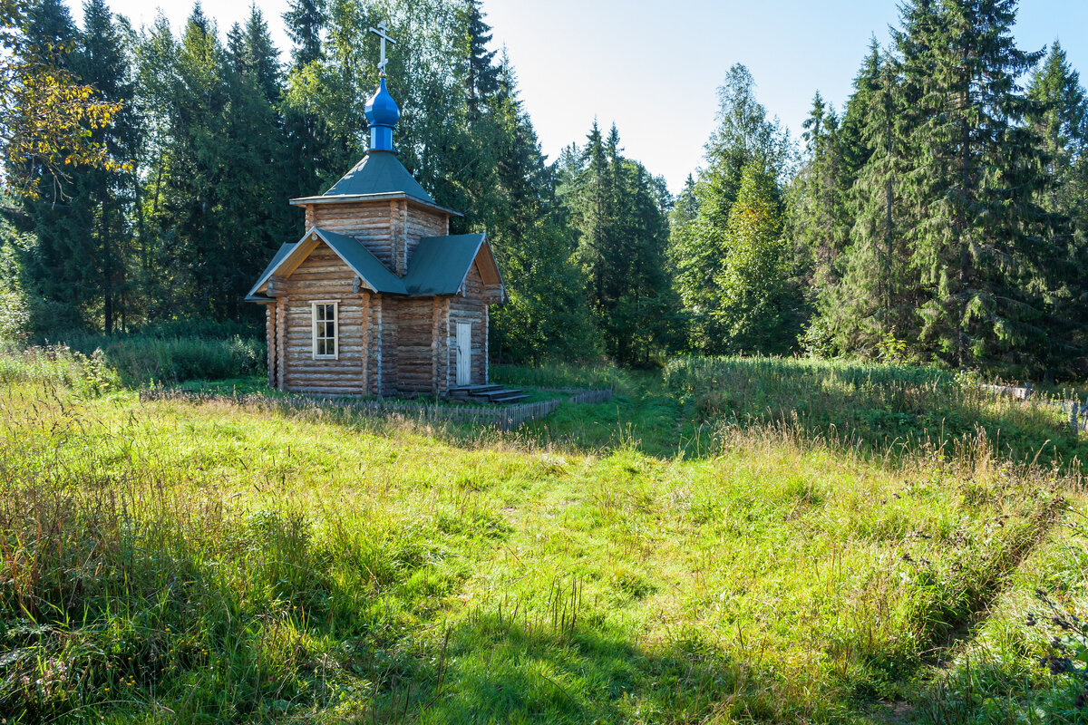 Село Александровское, Даровской район, Кировская область (часть 2) |  Природа Южного Урала | Дзен