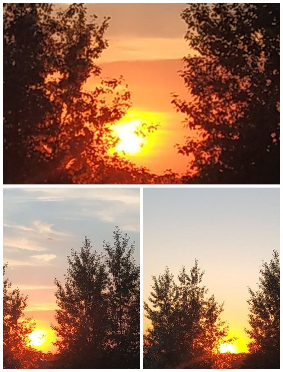 Закат 2022, июнь. Фото из личного архива