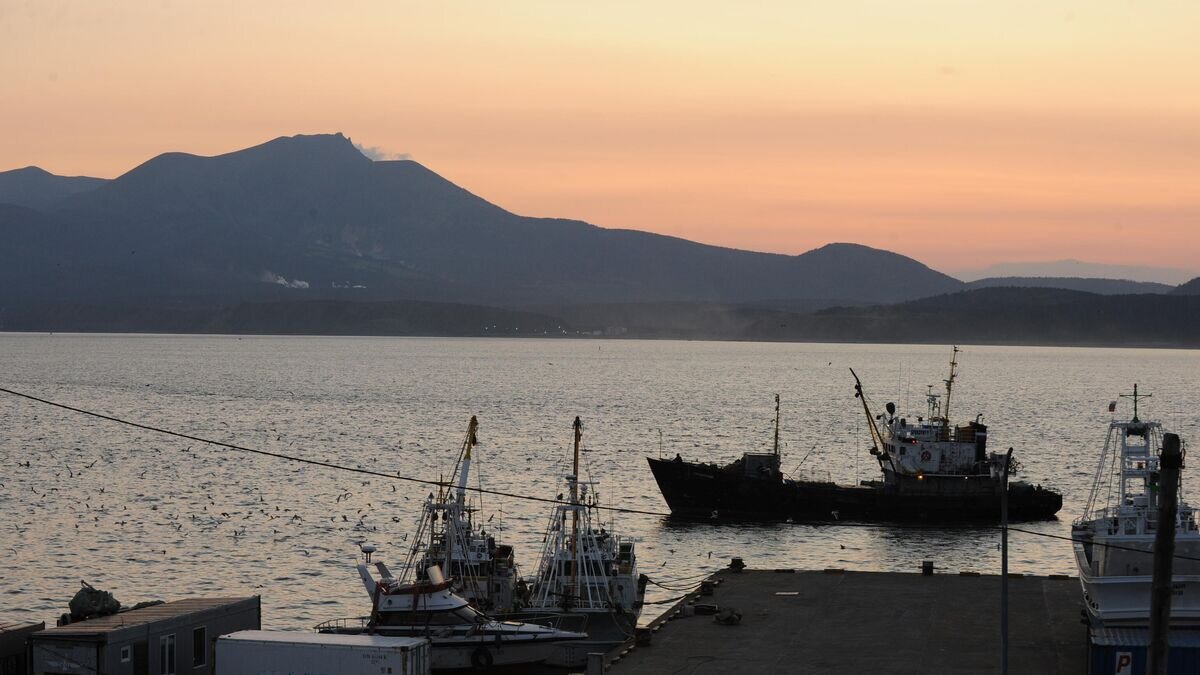    Порт Южно-Курильска© РИА Новости / Андрей Зима