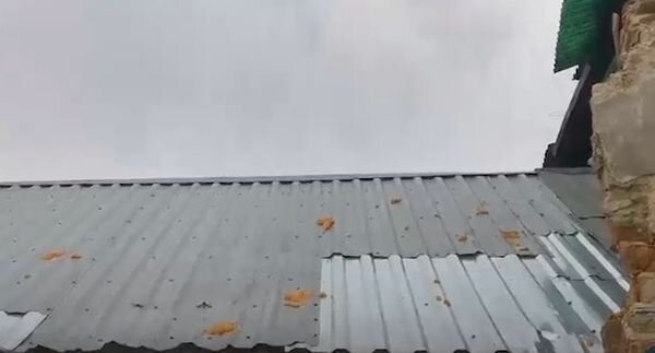 Источник фото: Don Mash