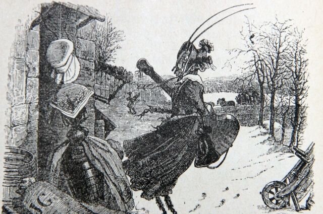    Почему в басне Крылова стрекоза — попрыгунья, которая все лето пропела?