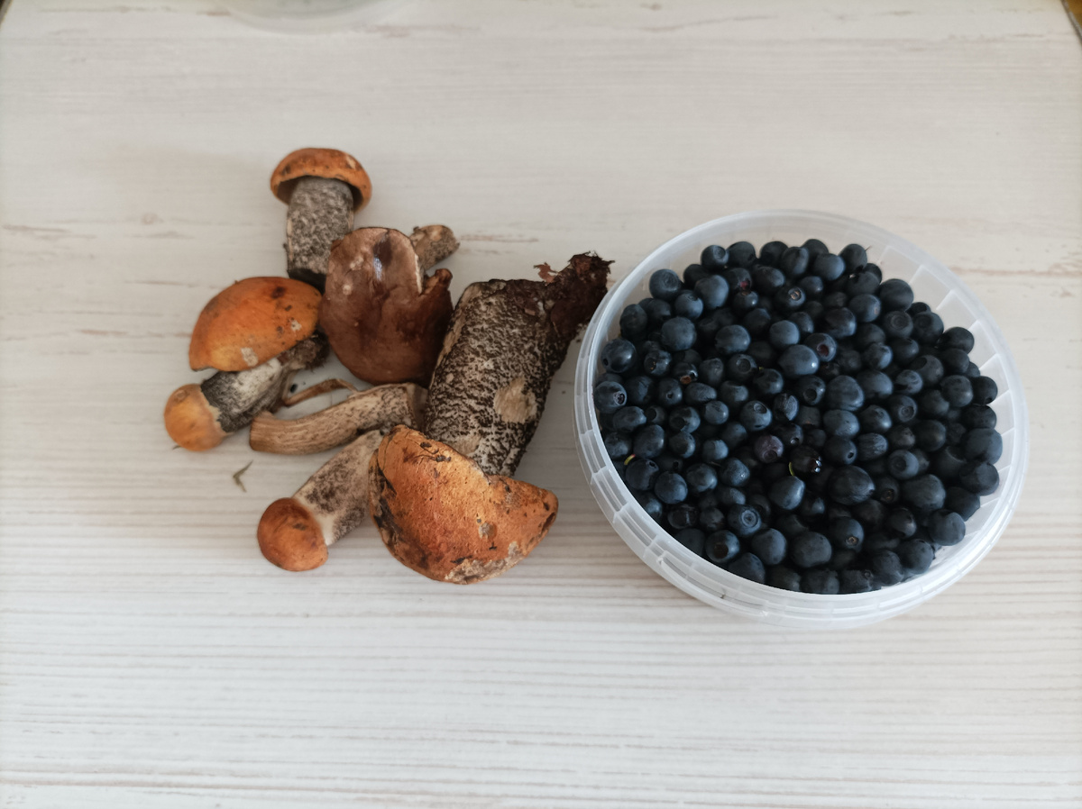 Ещё несколько червивых было, конечно не брали с собой. Черника. 