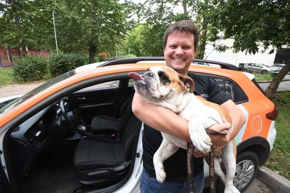     Этот английский бульдог не спешит идти к ветеринару. Но профилактика – лучшее лечение! Михаил ФРОЛОВ