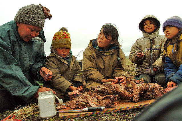 эскимосы информация. ненцы дети. жители севера едят. жители севера едят. жители севера едят.