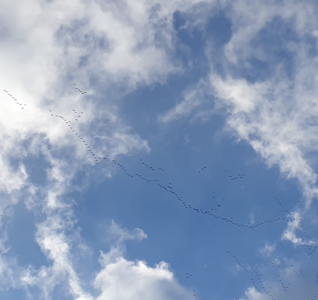 Фото Елены Лабо