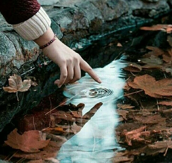 https://ru.pinterest.com/pin/49398927155025921/