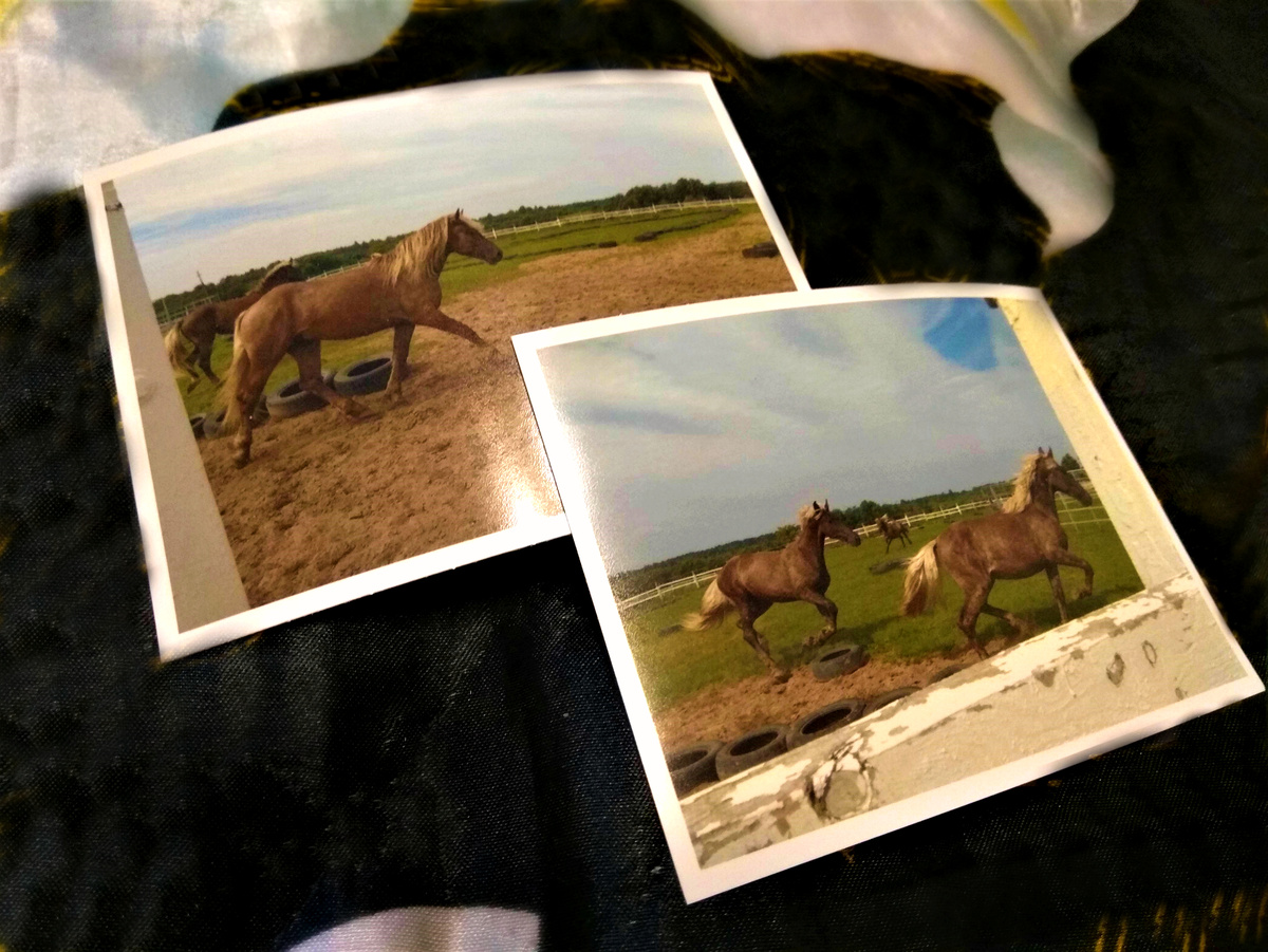 Личное фото личных фото, распечатанных в автомате))