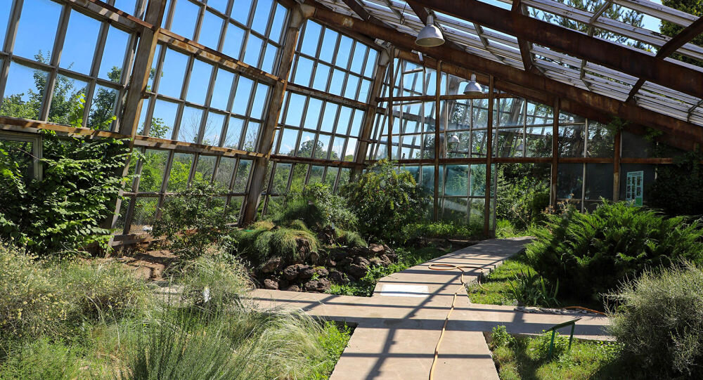 Фото: National Academy of Sciences of Armenia, armeniasputnik.am