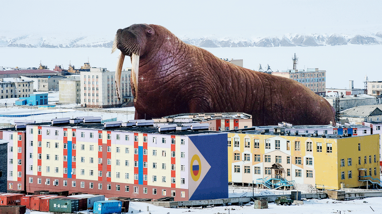 Фото: journal.tinkoff.ru