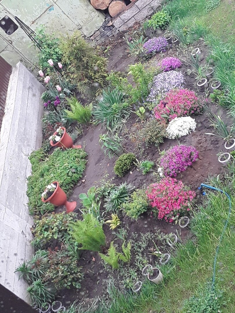 И я принялась удалять молодые побеги, порывающиеся поднять голову из подушки