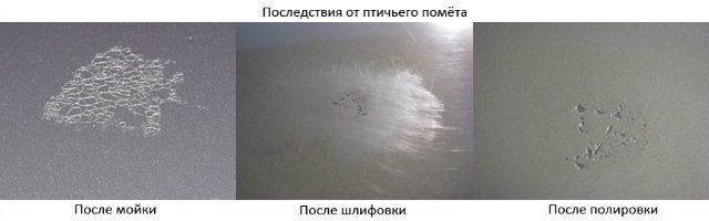 Последствия от помёта для ЛКП. Источник Яндекс фото