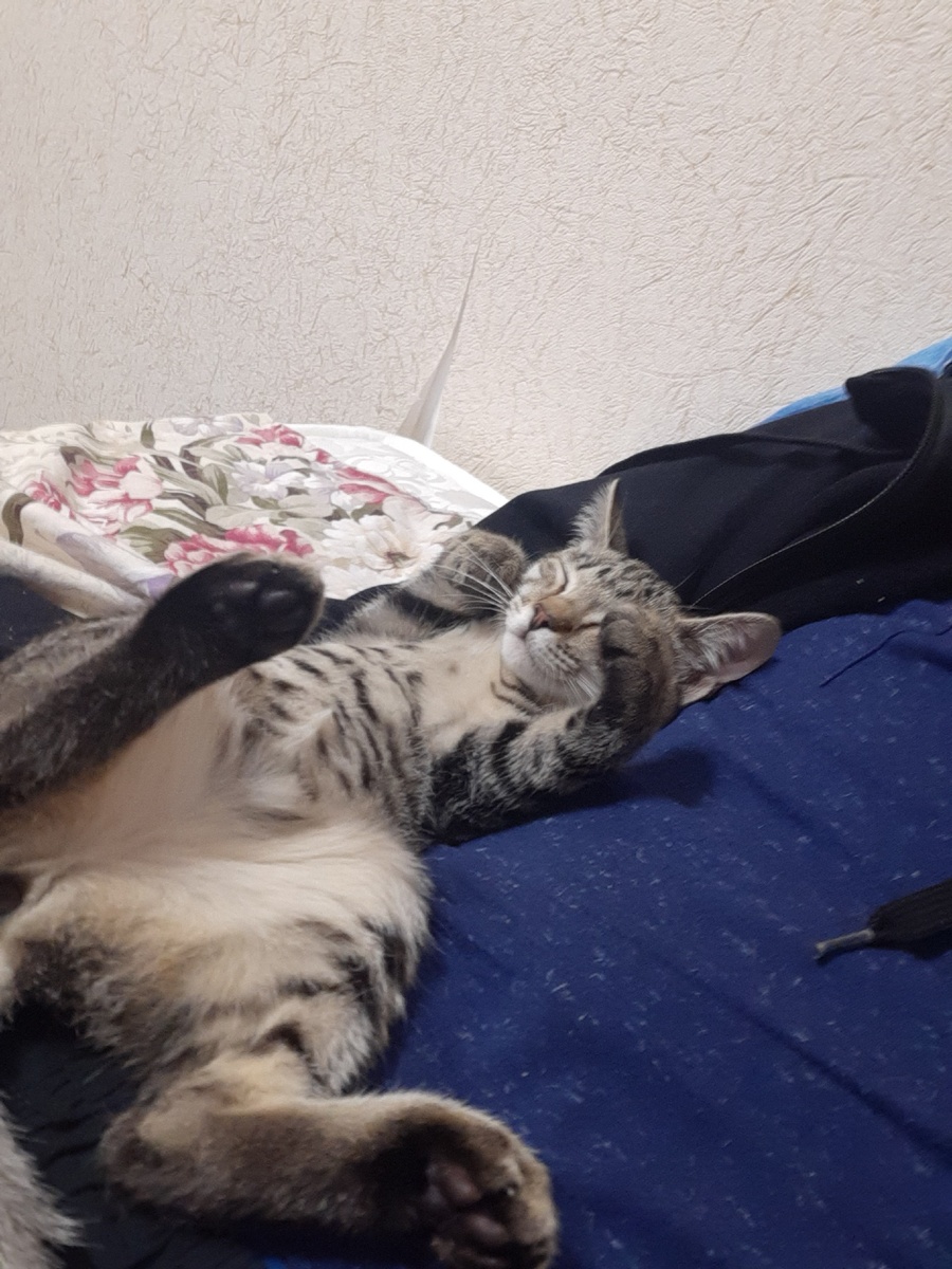 Ключ к успеху