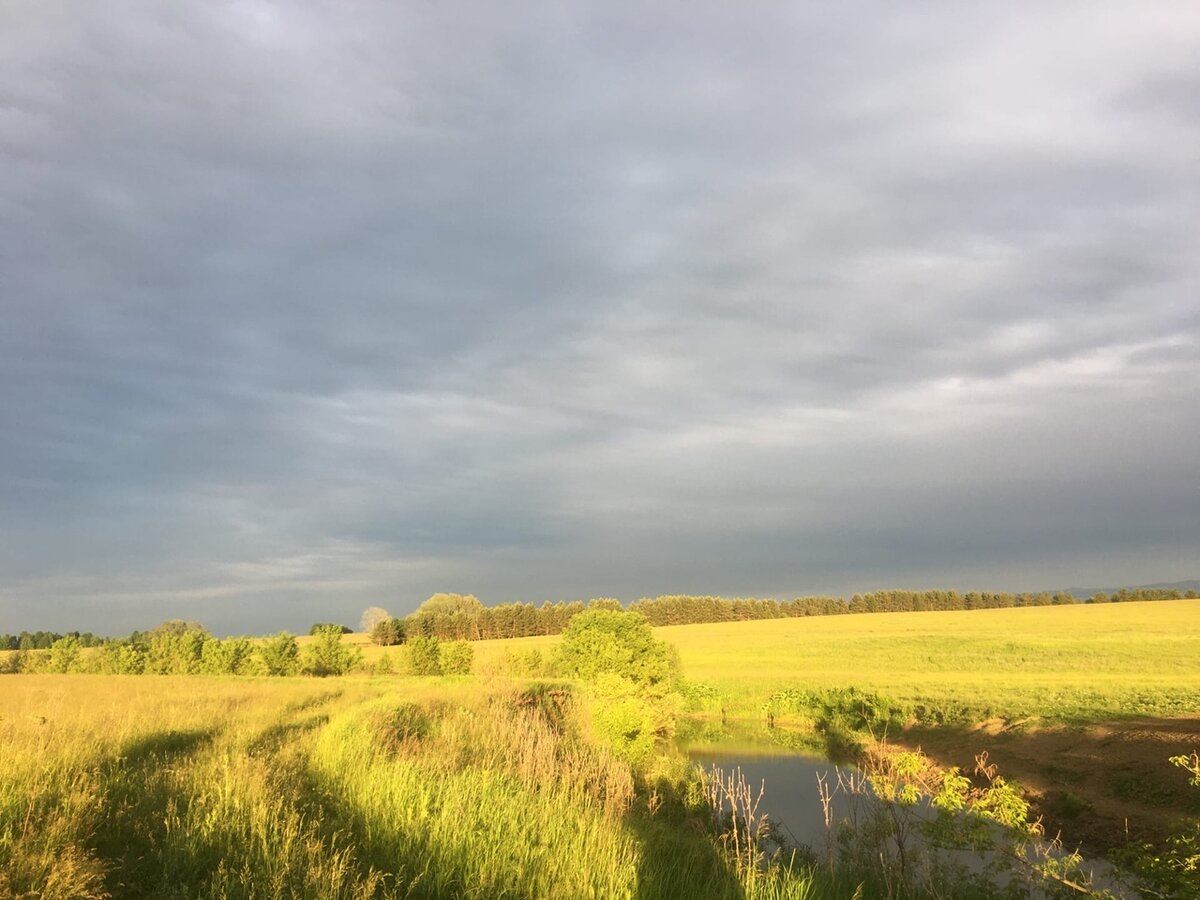 Спокойствие и только спокойствие.... Фото из личного архива.