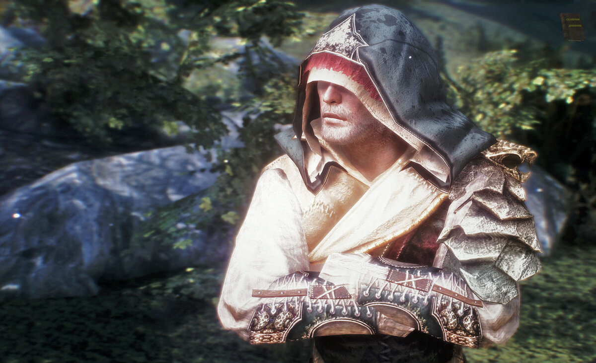 скрин из игры 