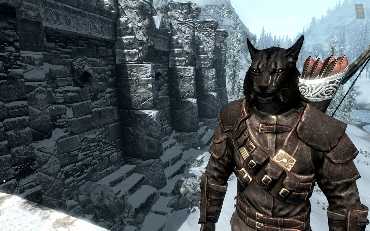 скрин из игры