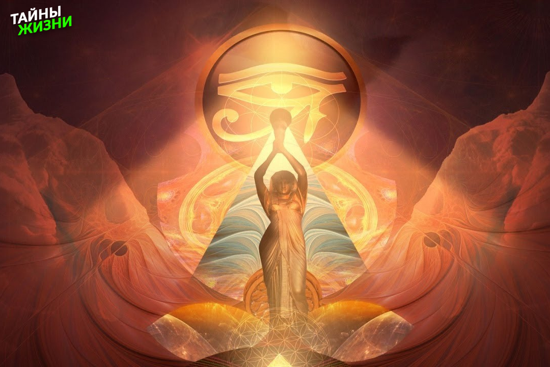 Дмитрий Елистратов "Поэтому собрать внимание – это и есть проснуться. Проснуться к жизни." 