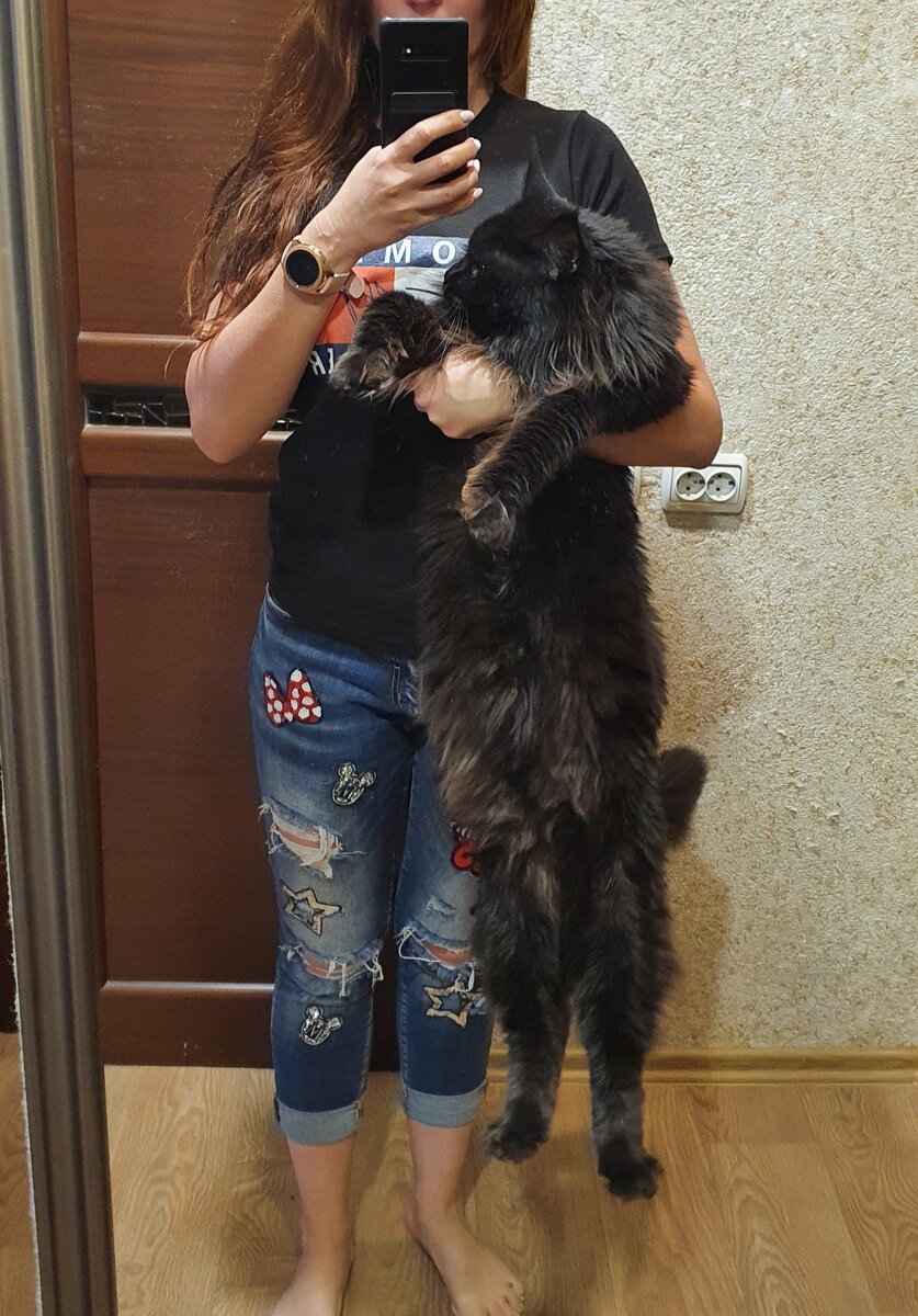 Котик в полный рост