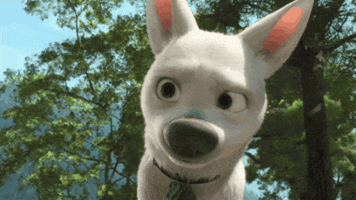 Из мультфильма "Вольт"