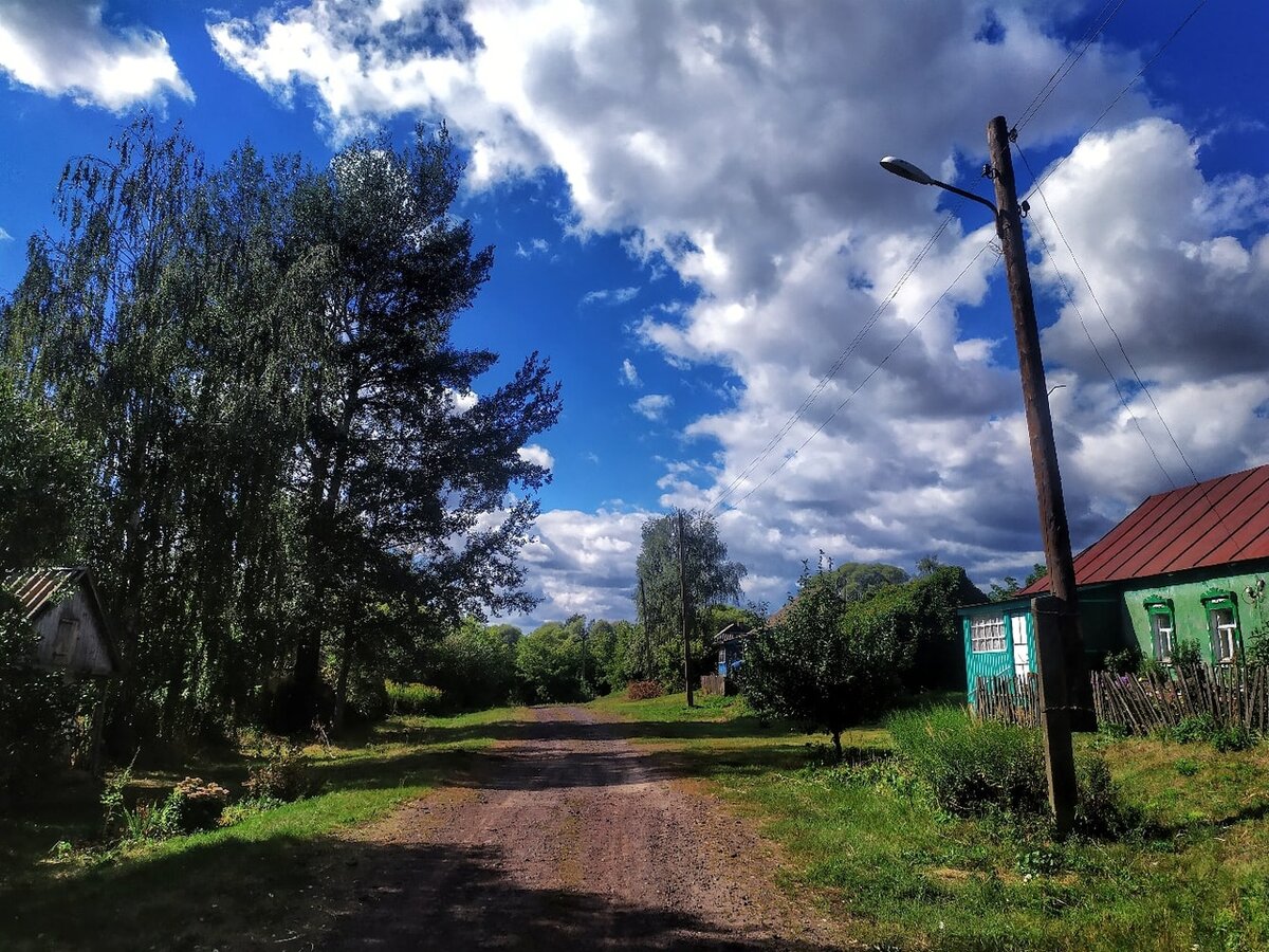 В курской деревне на дзене последнее видео. Фатеж природа. Курская деревня. Глухое Подмосковье. Мемориал в Фатеже.