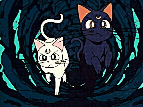 Фото с  epilepticfridgeboy.tumblr.com