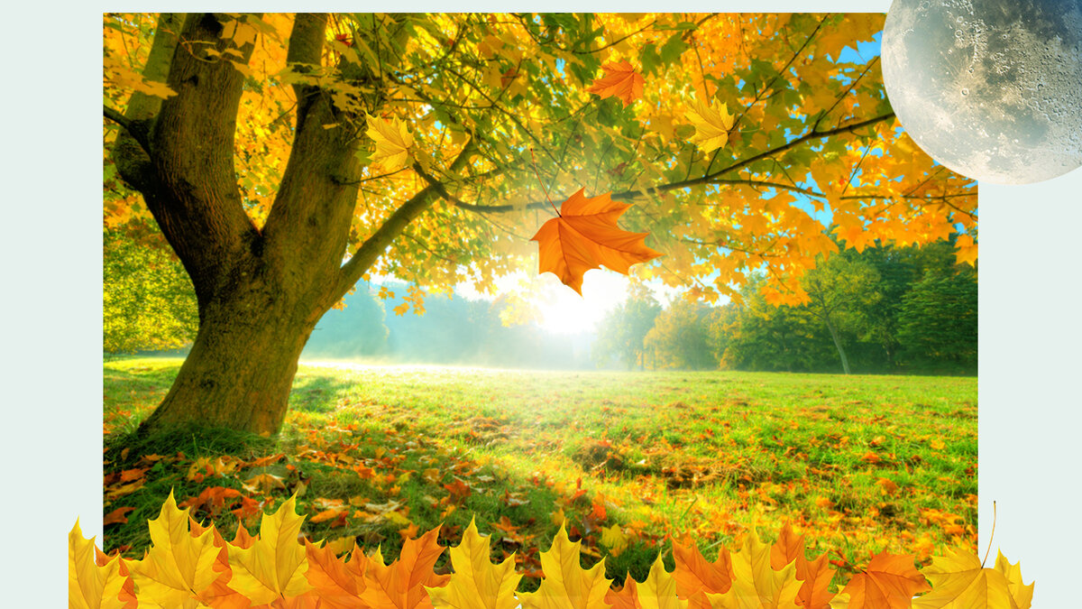 Спасибо за ваши лайки и подписку