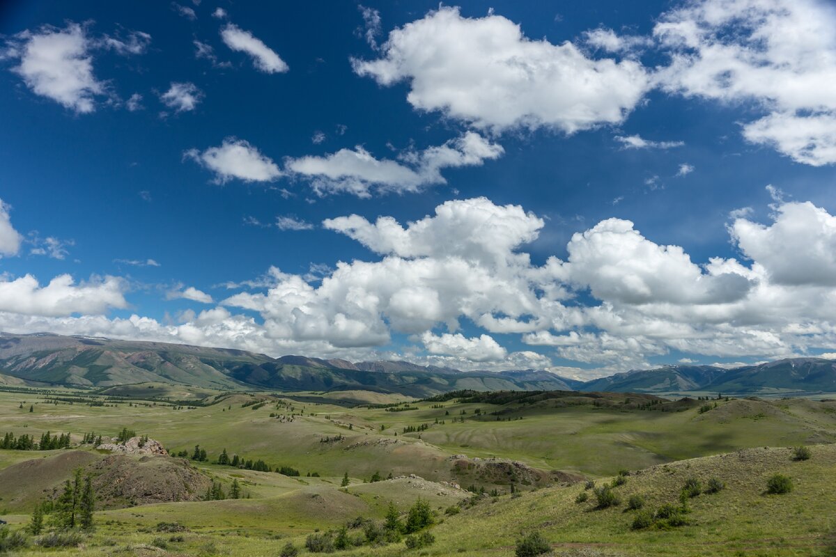 Курайская степь Алтай