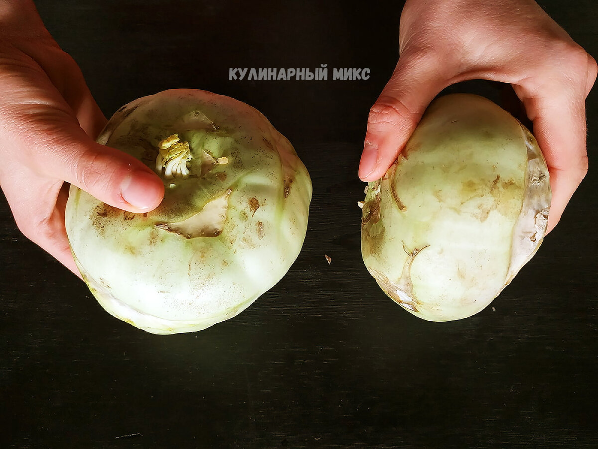 капуста Кольраби