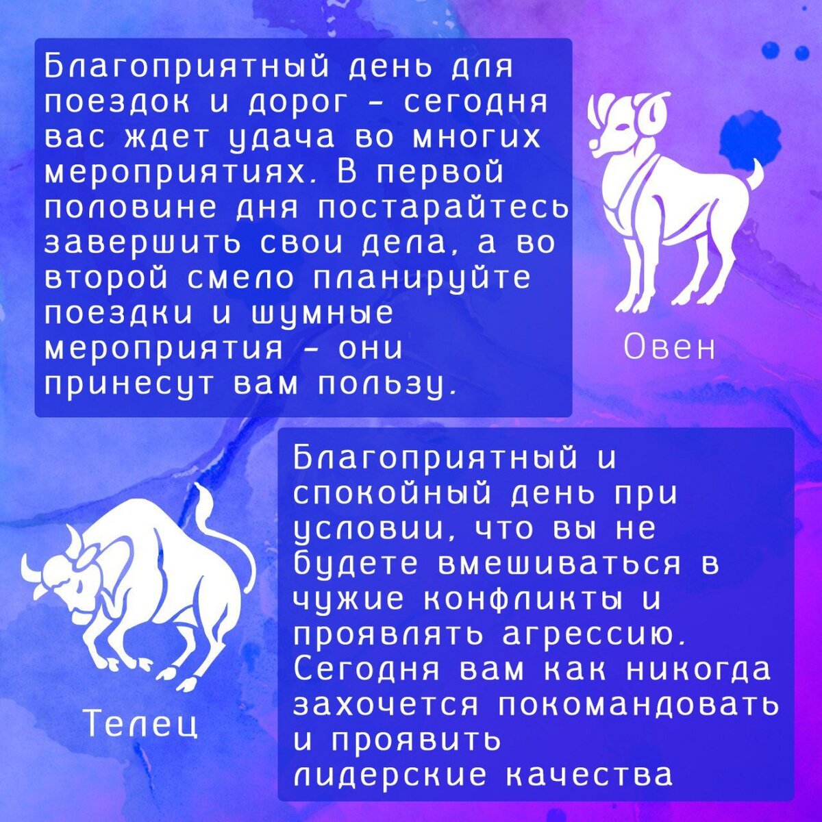 Советы звезд гороскоп дзен