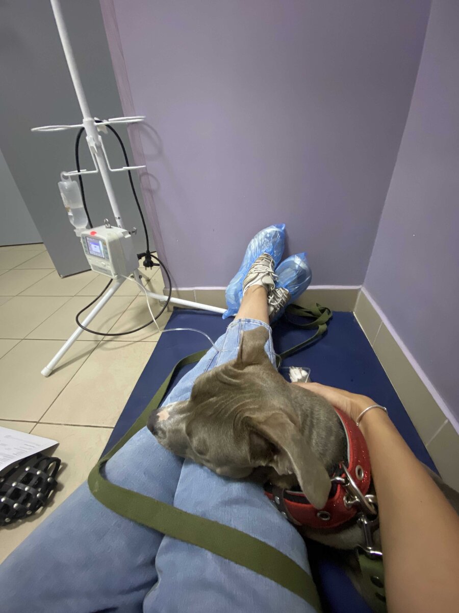 Воспаление кишечника из-за противовоспалительных. На капельнице.