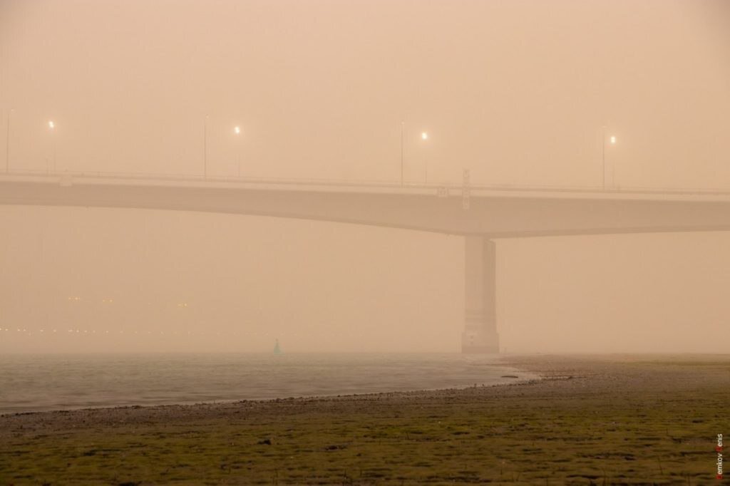 Фото: Денис Демков