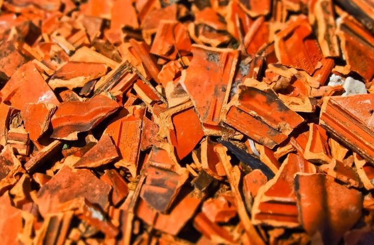 Фото: https://pixabay.com