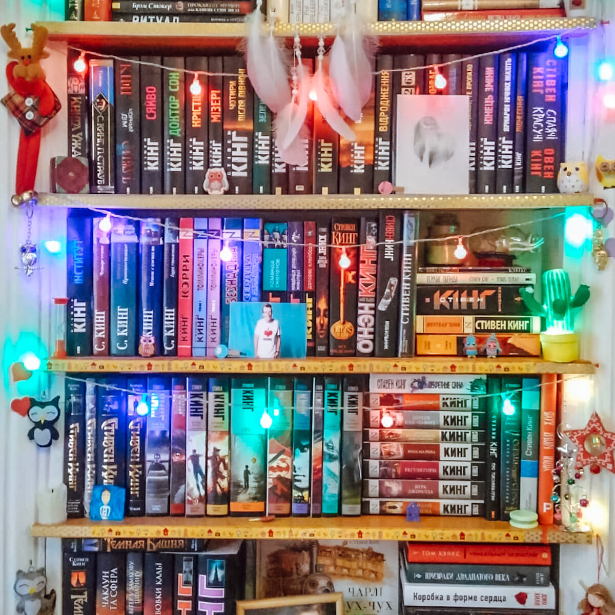 На всякий случай читать буду в электронке, чтоб не обнаружить себя посреди такого шкафа. (Фото из инстаграм)