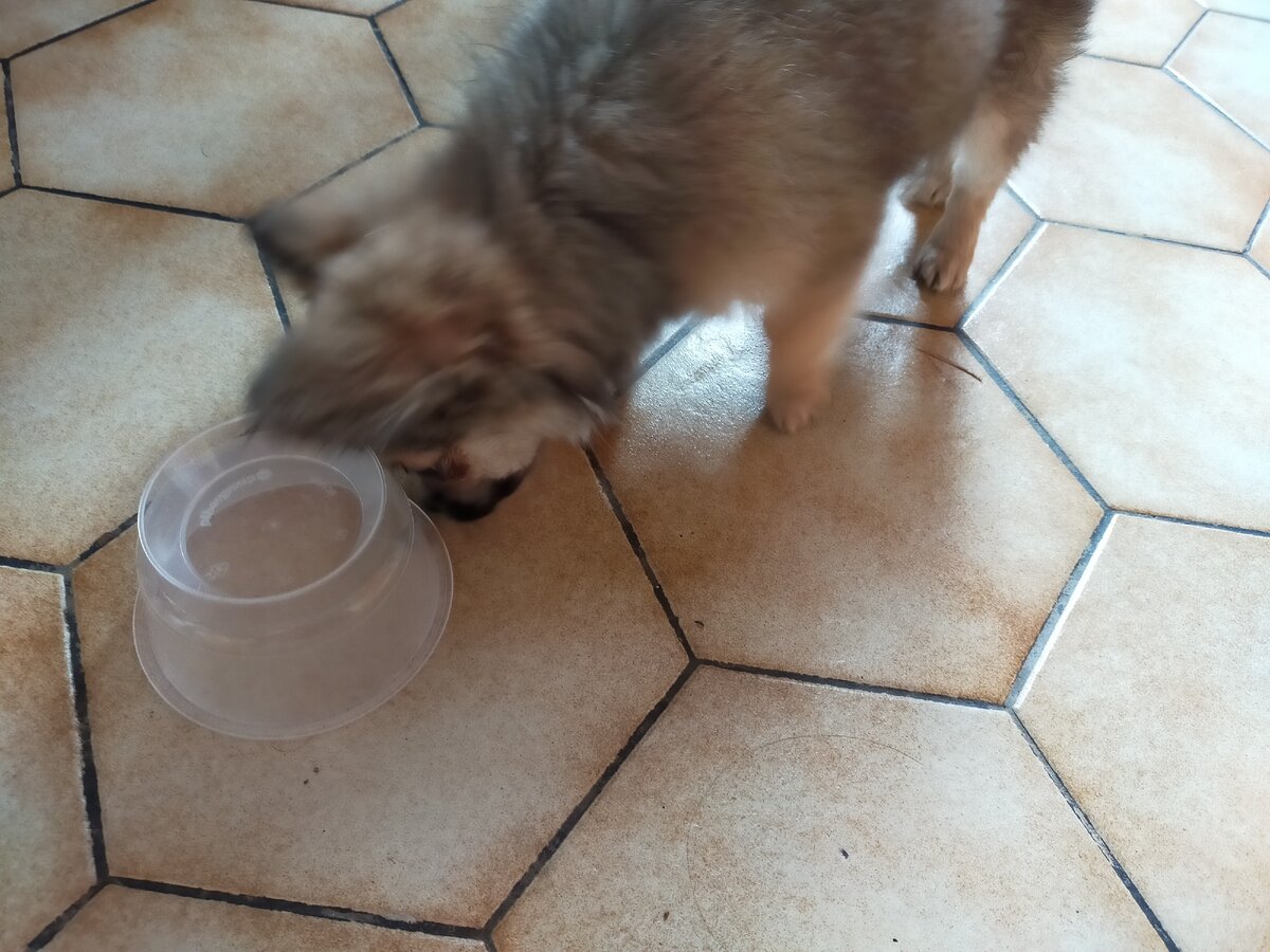 Война со стаканом))))