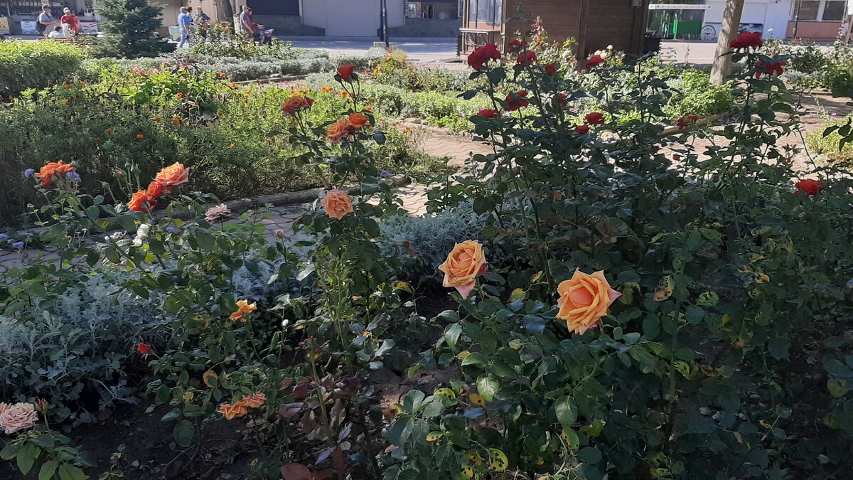 Парковая зона у центральной набережной Евпатории. Октябрь 2020