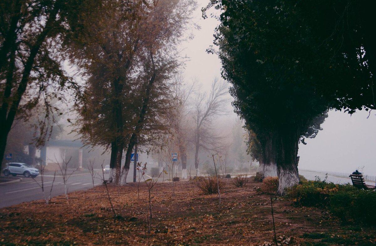 Фото мое: https://vk.com/album286572092_248811532  ВК