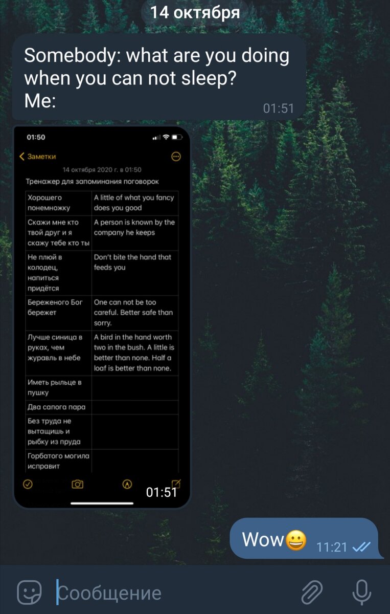 Человек: Что ты делаешь, когда не можешь уснуть?
Ученица: (присылает скрин изучения пословиц)
я: Вау!