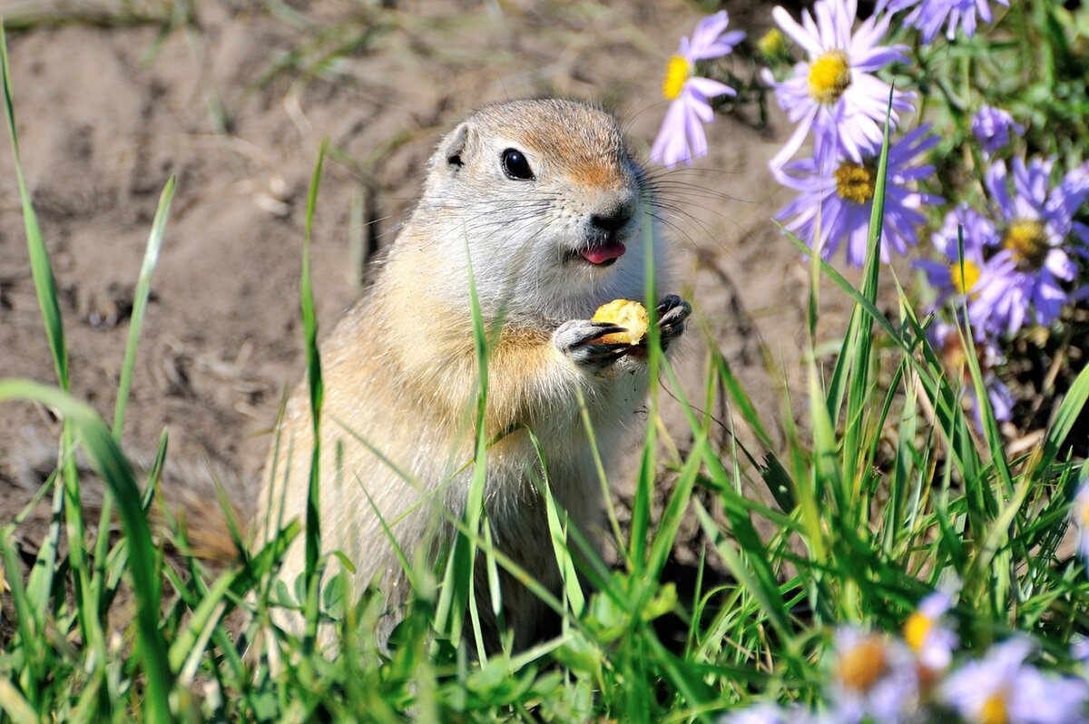 Фото из интернета