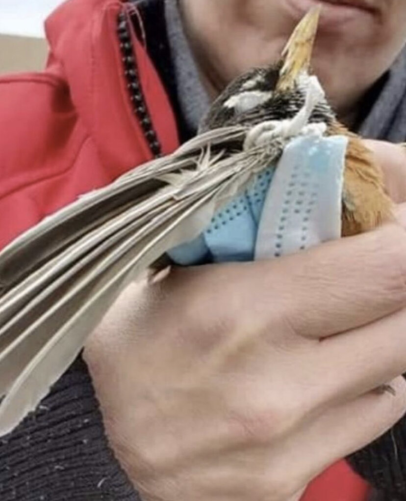 -1-3